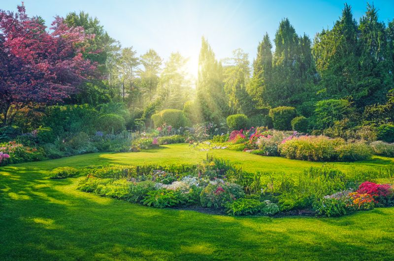 Garden Creation