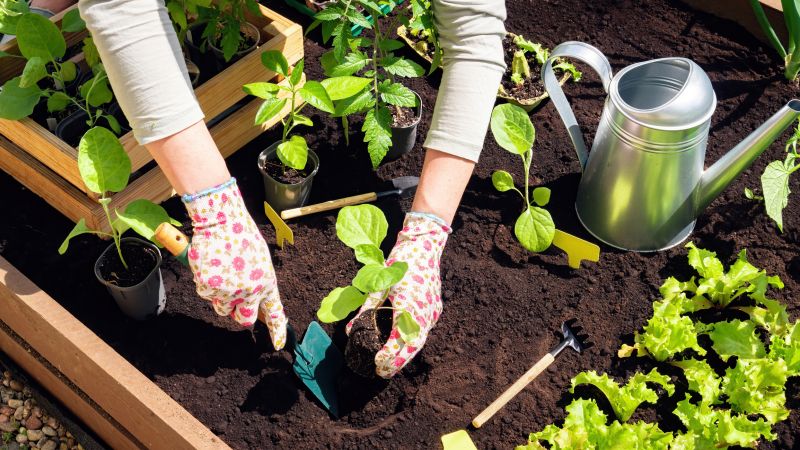 Garden Creation