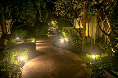 Elegant Garden Path