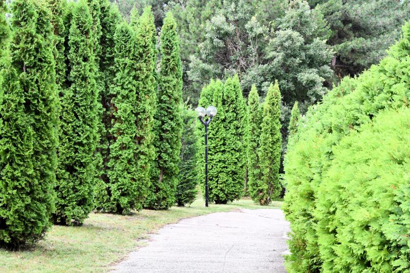 Pathway Construction