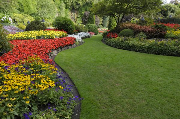 Landscape Design Installation